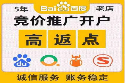 成功案例分享：SEM竞价代运营策略解析
